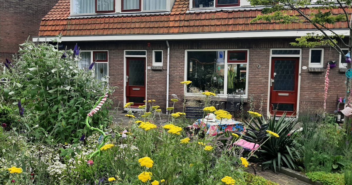 Lenferink Oud Rochdale in Alkmaar, samen met Woonwaard onderweg om…
